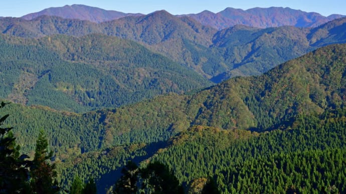 白神山地・二ッ森の初期紅葉(2020年10月16日)