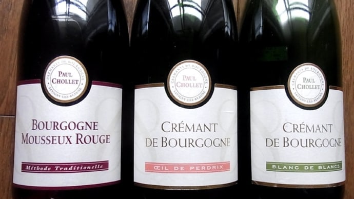 Paul Chollet/Bourgogne Mousseux Rouge/Cremant de Bourgogne