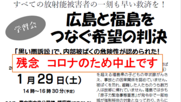 黒い雨訴訟で大きく開かれた可能性をいかに生かすのか　問われているのは私たちの努力だ　　明日に向けて(2146)