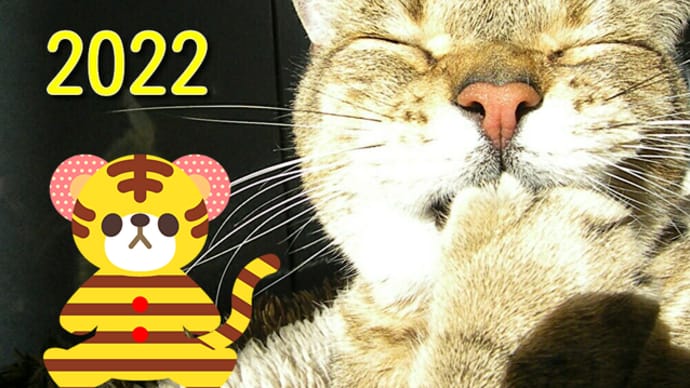 新年です!風の時代です!多くの人達に奇跡が起こりやすくなっていますよ!受け取りましょう・・・