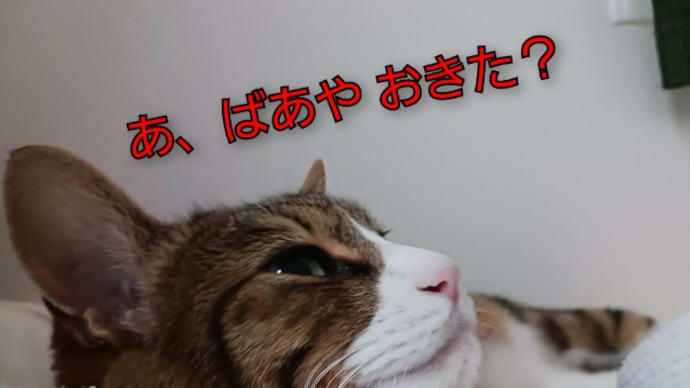 病院の日