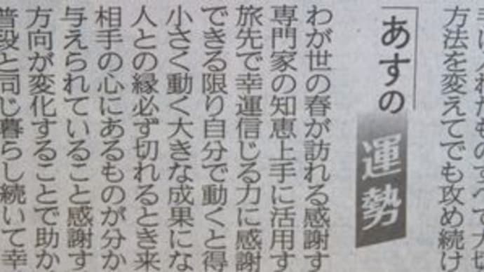 菜園仕事