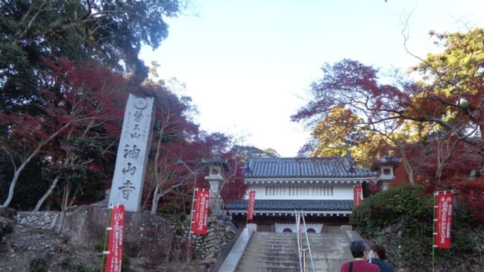 遠州三山もみじまつり 医王山薬王院、油山寺