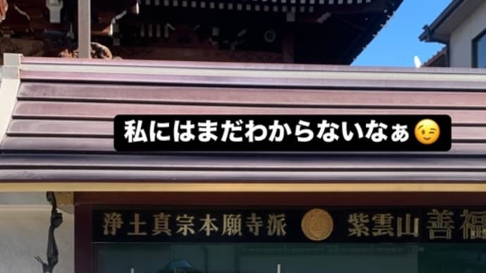 みてきたよ♪(๑ᴖ◡ᴖ๑)♪