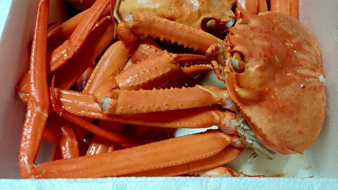 🦀が届く🎵 そして、皆既月食❕