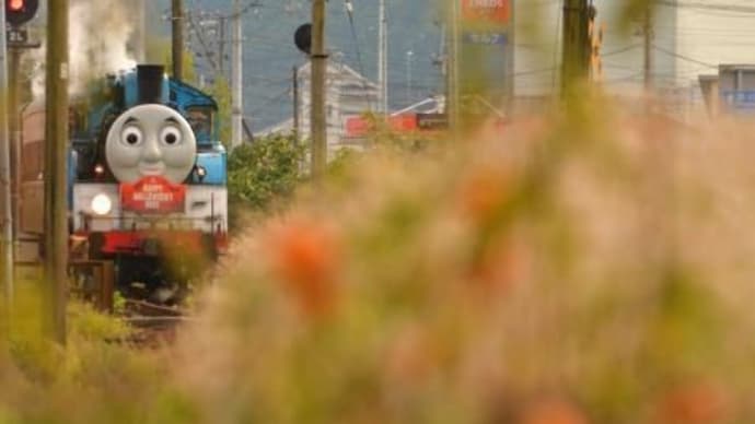 トーマス号