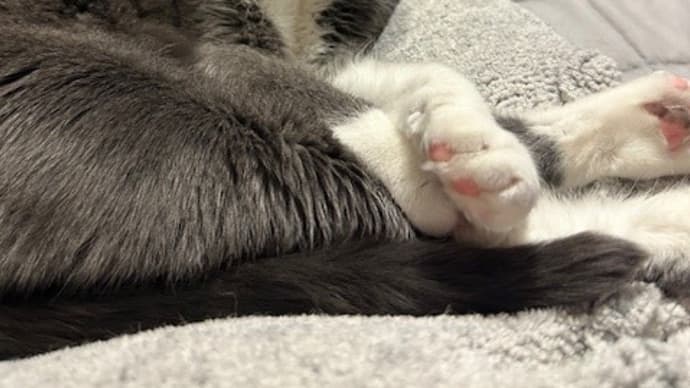 安眠できる場所