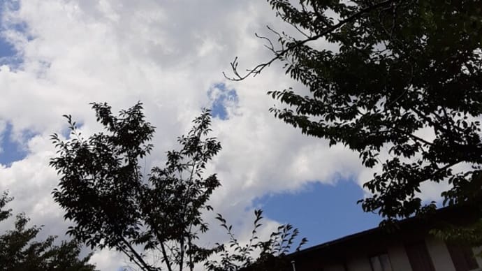 ブログ始めました