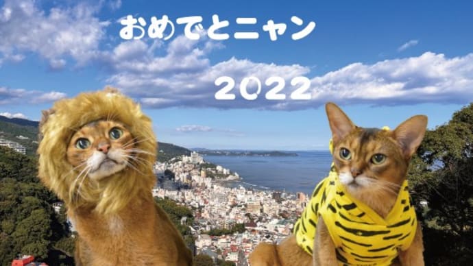 2022年もよろしくお願いします!