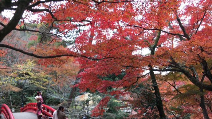 幽霊より怖いのは
