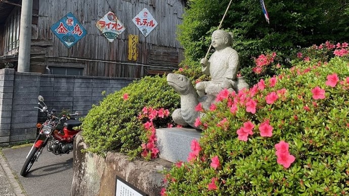 朝駆け (/・ω・)/ ひさしぶり~♪