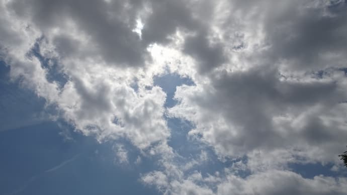 2025-06-29-01