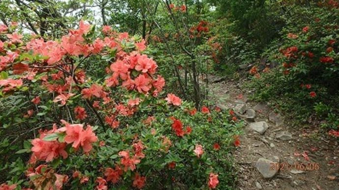 一筆五山(石清尾山、小山、浄願寺山、野山、室山)@高松