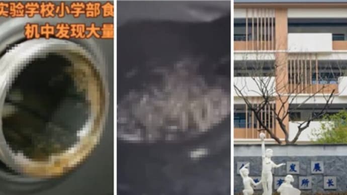中国・浙江省の小学校食堂のミンチ機に「大量の虫」【動画あり】