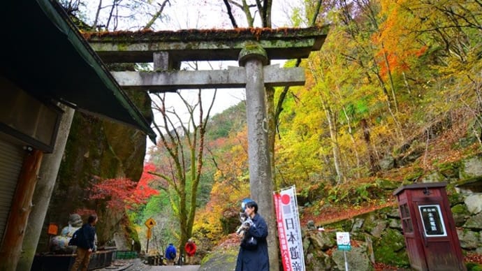 犬と清里に行ってきました♪（昇仙峡編）