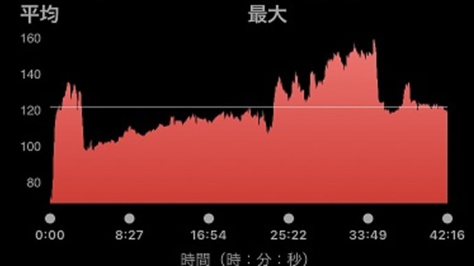 トレーニング & 斜向かいの家の庭木伐採続き