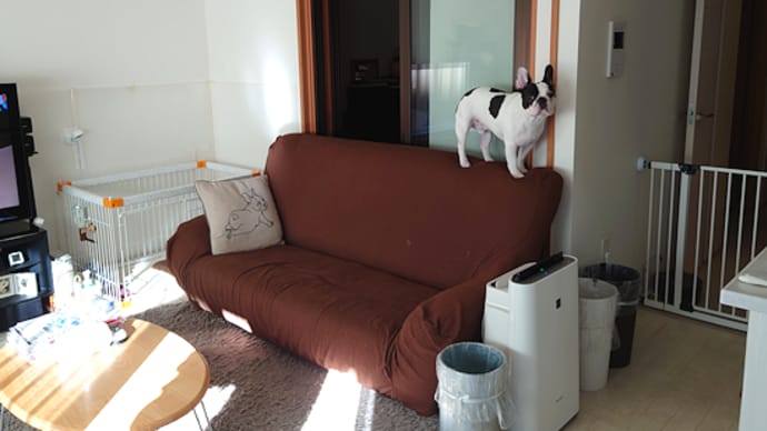 空気の乾燥で皮膚トラブル&ゲートをオテテで開けて突破!