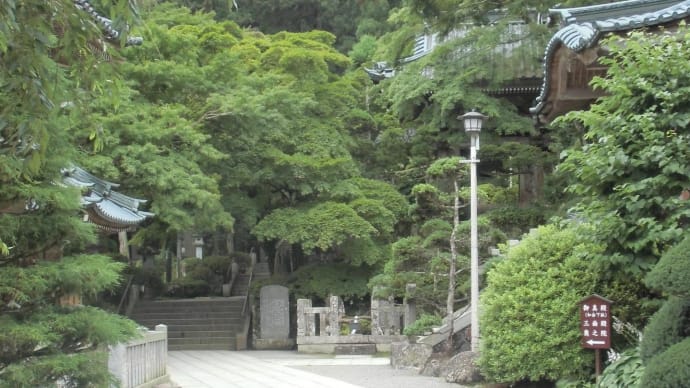 2014・7・9 おばさんの道 かながわの古道50選・大雄山最乗寺参道・・・カタトコマイリってなに?