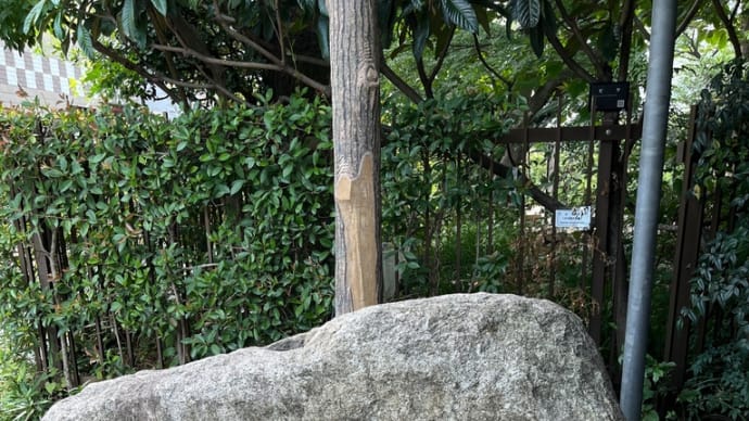 『牧野記念庭園』に行ってきました✨