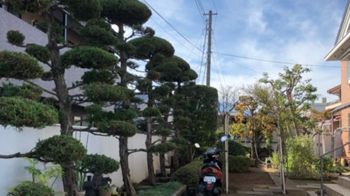 気心しれたお客様