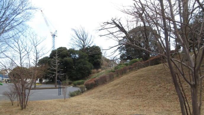 街角公園の梅