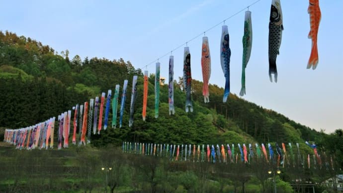 泳がぬ鯉