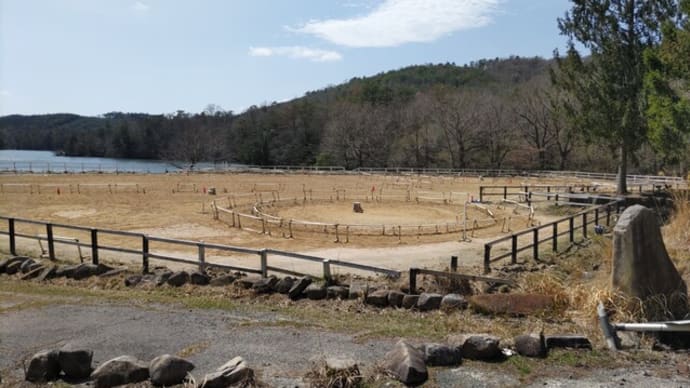 桜満開の中58鞍騎乗 クレイン東広島