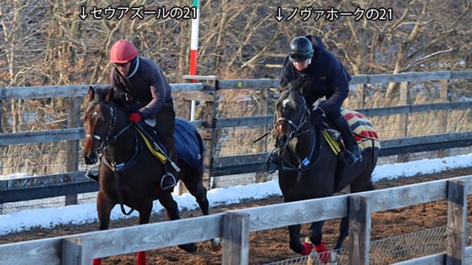 ノヴァホークの21、水準以上!