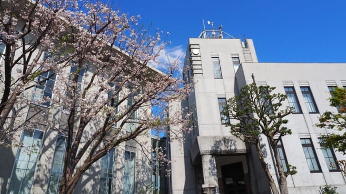 山手の桜2025①