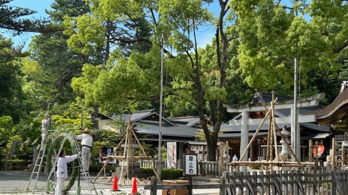 初夏の風物詩?