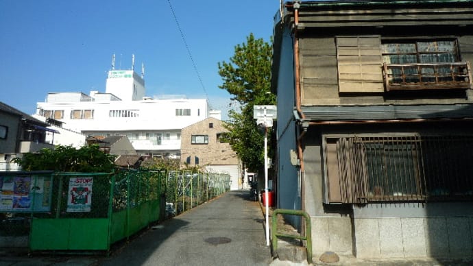 撮り比べ。。