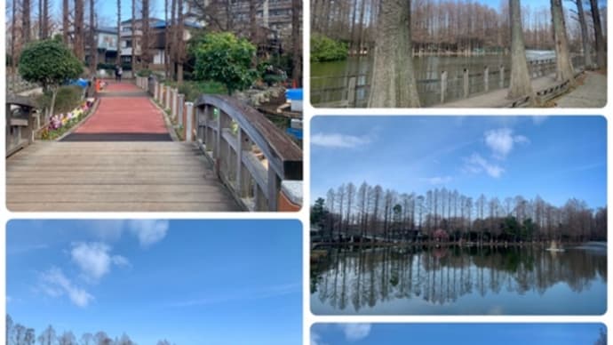 別所沼公園～さいたま市役所