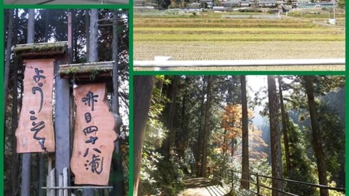 🍁 赤目四十八滝 その2 / その2