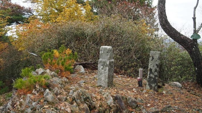2024年11月27日(水)　[丹波]五大山へ、紅葉の百毫寺から周回する！