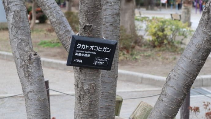 蛇崩川双子の給水塔コース 約5.5km