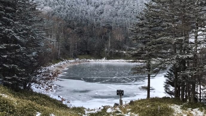 【積雪情報】双子池ヒュッテ周辺の積雪情報 (2023.12.22)