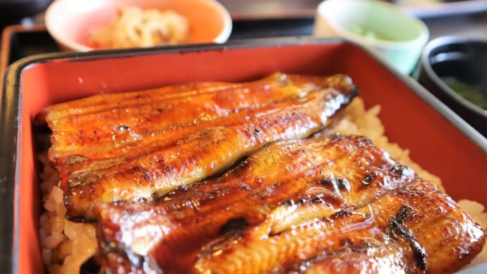 成田市、錦谷でうなぎを食べました。