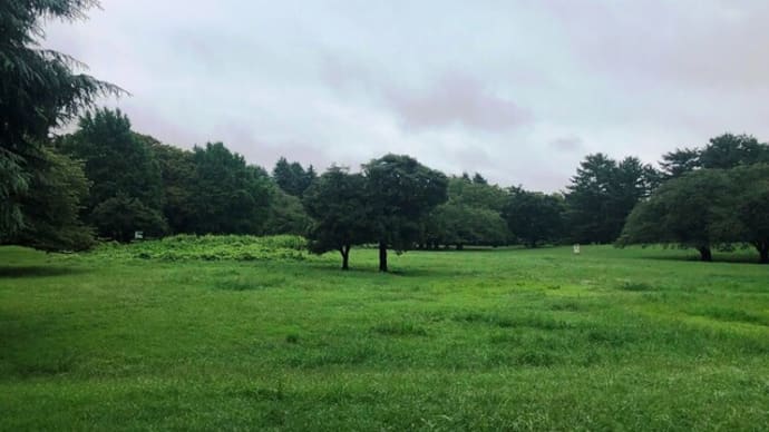 光が丘・赤塚・成増のお散歩・・🐤♫