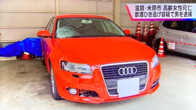 滋賀で阿呆ババアが勝手に車道を横切りやがり、ドイツ車に打つかり自業自得でくたばる