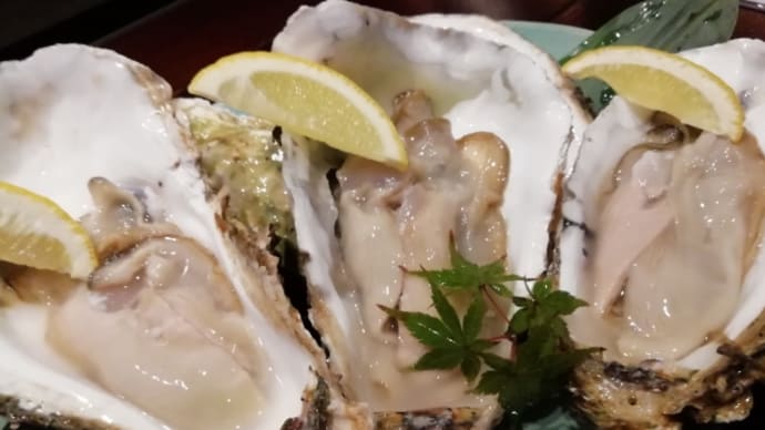 牡蠣からの牡蠣からの『HASHIGO』