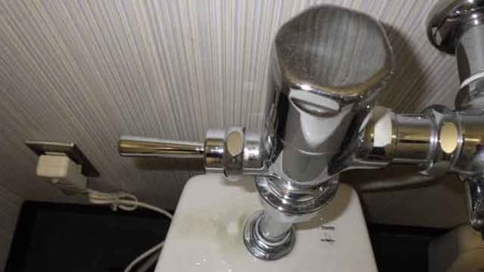 トイレの水栓ハンドル(フラッシュバルブ)は… ビフォーアフター