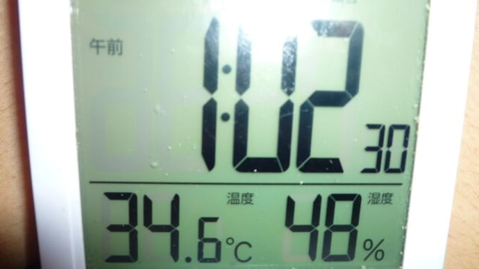 今日は早くも室温が34,6度に昨日より2時間早い湿度が低いのでさほど暑くは感じません