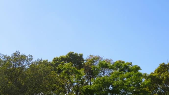 久しぶりに観た「冬のソナタ」