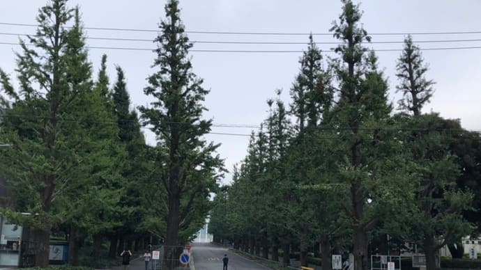 田畑家