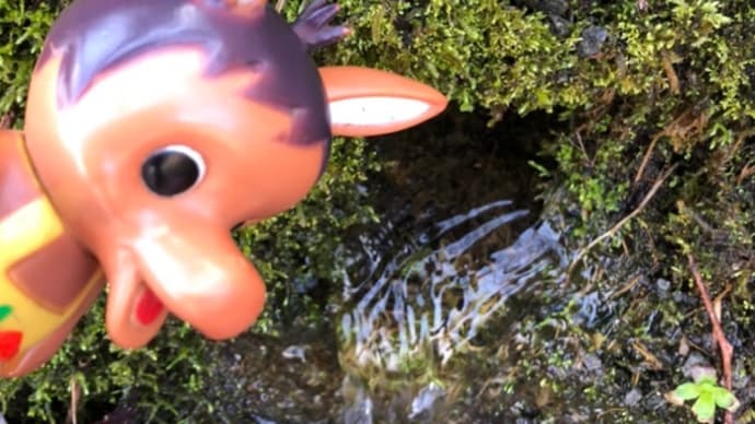 ロバくんと水汲みに行ってきたよ