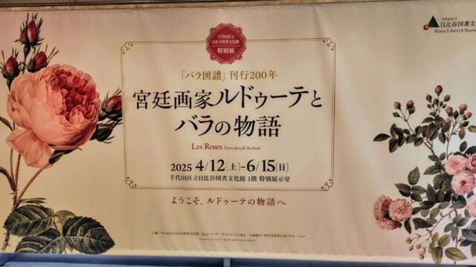 あっちこっち その4