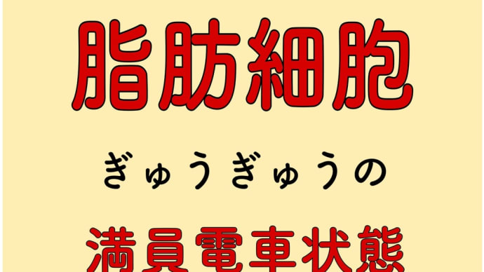 太っている人 脂肪細胞