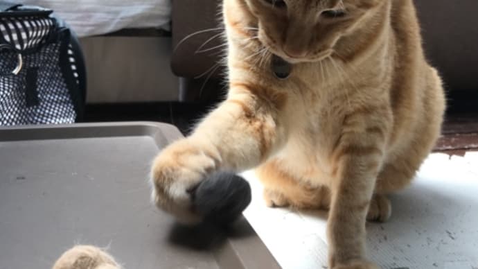 純国産、猫毛100%ボール