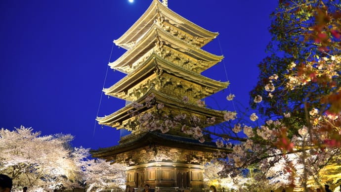 2025 京都さくら旅③(東寺-1)