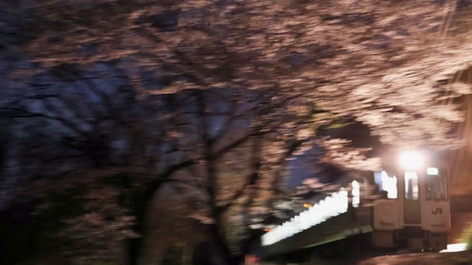 2025/04/08 八高線